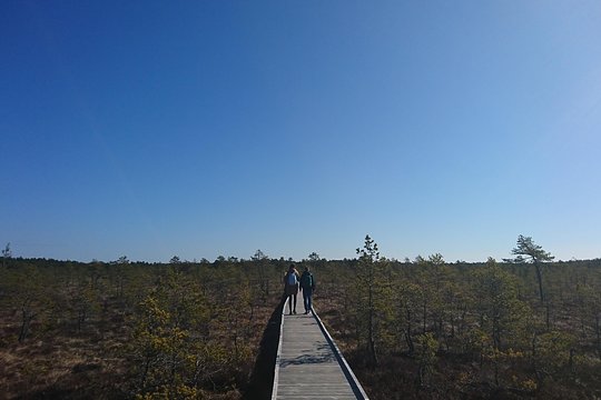 Tour image 2