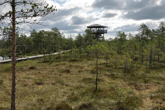 Tour image 4