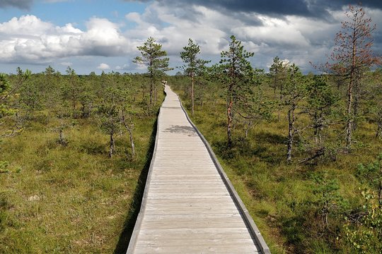Tour image 5