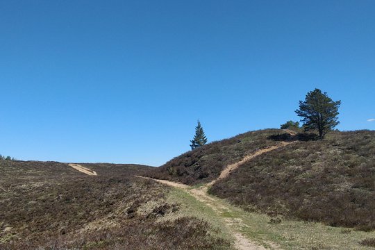 Tour image 3