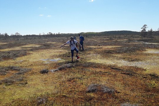 Tour image 2