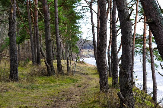Tour image 7