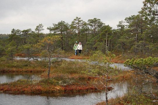 Tour image 3