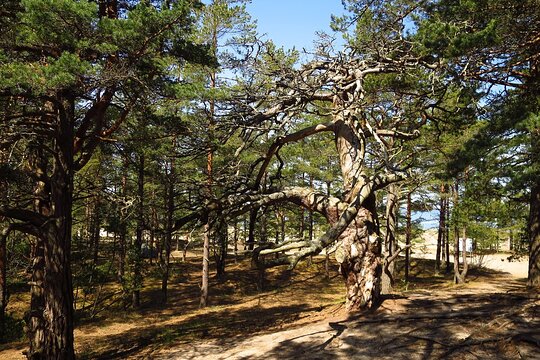 Tour image 6